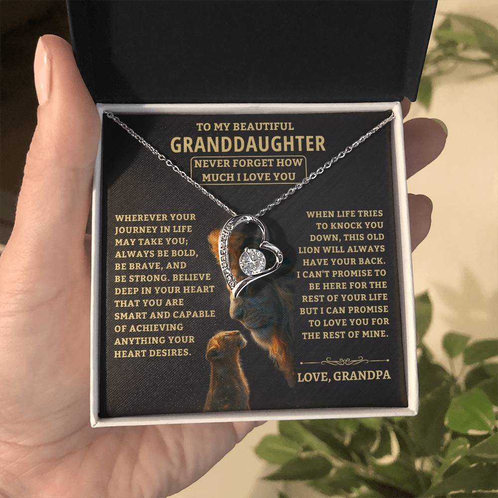 Gift For Granddaughter From Grandpa, "Never Forget How Much I Love You," Forever Love Necklace - Image 2