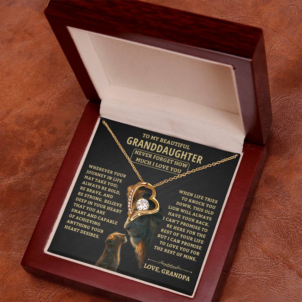 Gift For Granddaughter From Grandpa, "Never Forget How Much I Love You," Forever Love Necklace - Image 3