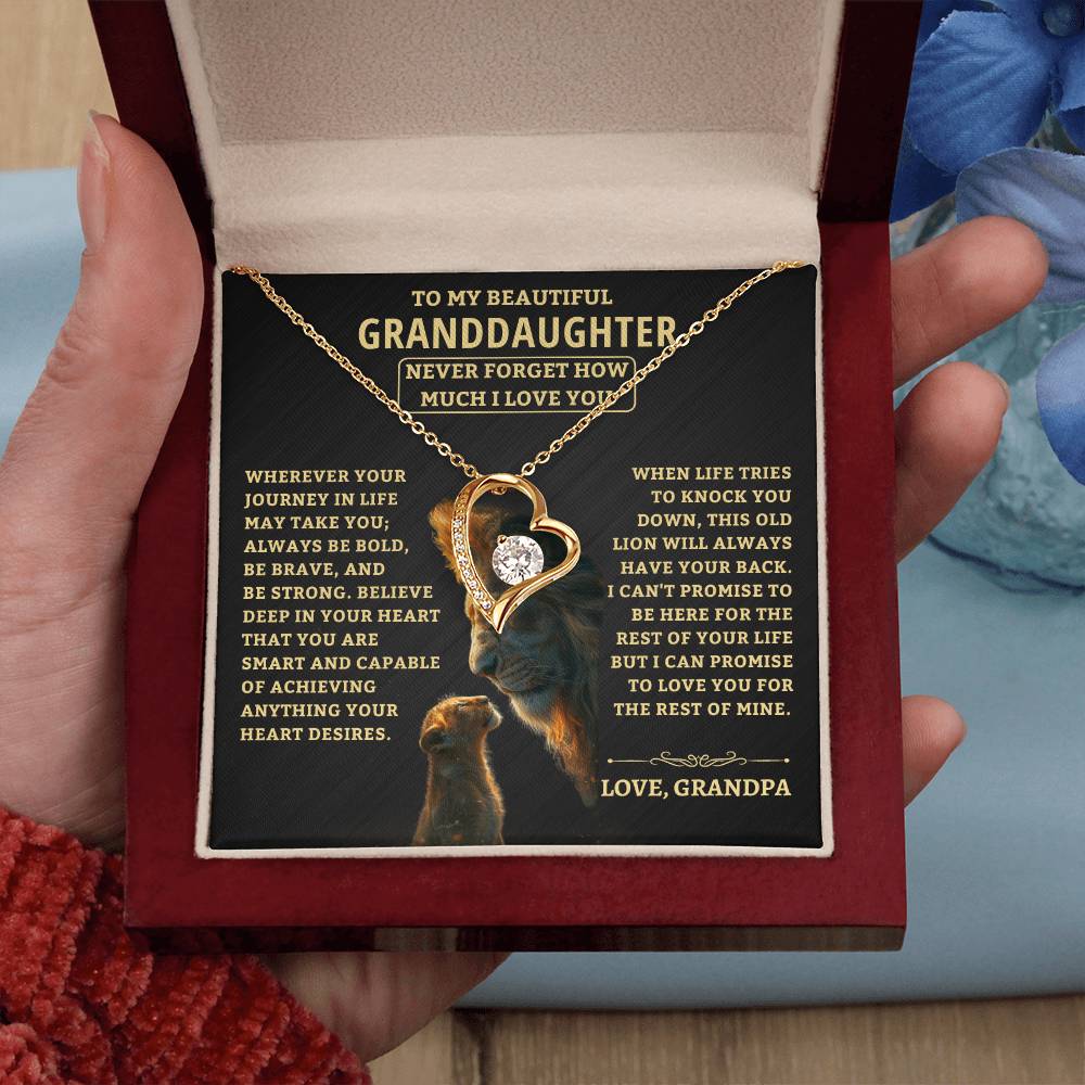 Gift For Granddaughter From Grandpa, "Never Forget How Much I Love You," Forever Love Necklace - Image 4