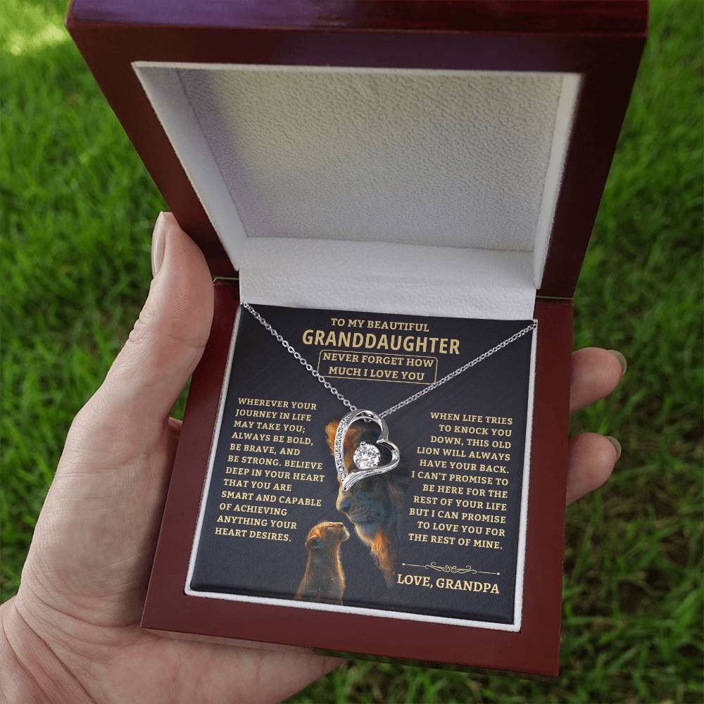 Gift For Granddaughter From Grandpa, "Never Forget How Much I Love You," Forever Love Necklace - Image 5