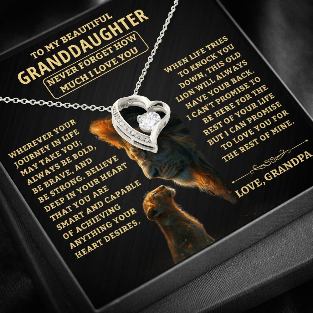 Gift For Granddaughter From Grandpa, "Never Forget How Much I Love You," Forever Love Necklace - Image 7