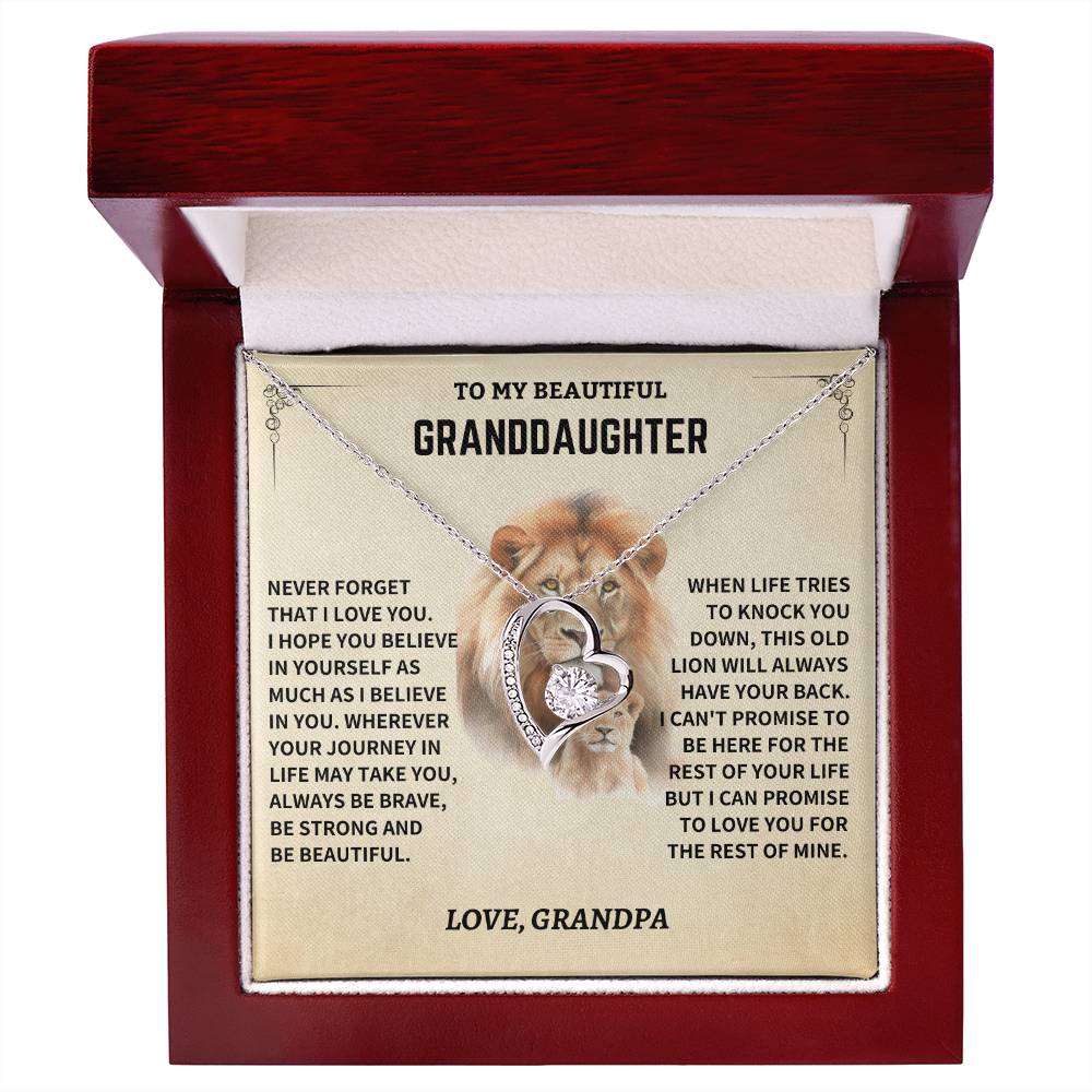 Granddaughter Gift- Believe In Yourself- From Grandpa - Image 3