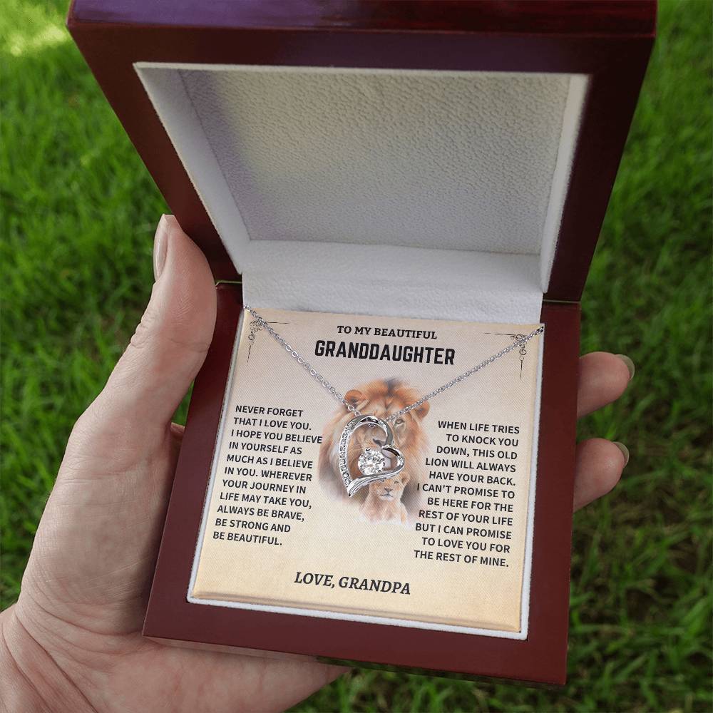 Granddaughter Gift- Believe In Yourself- From Grandpa - Image 5