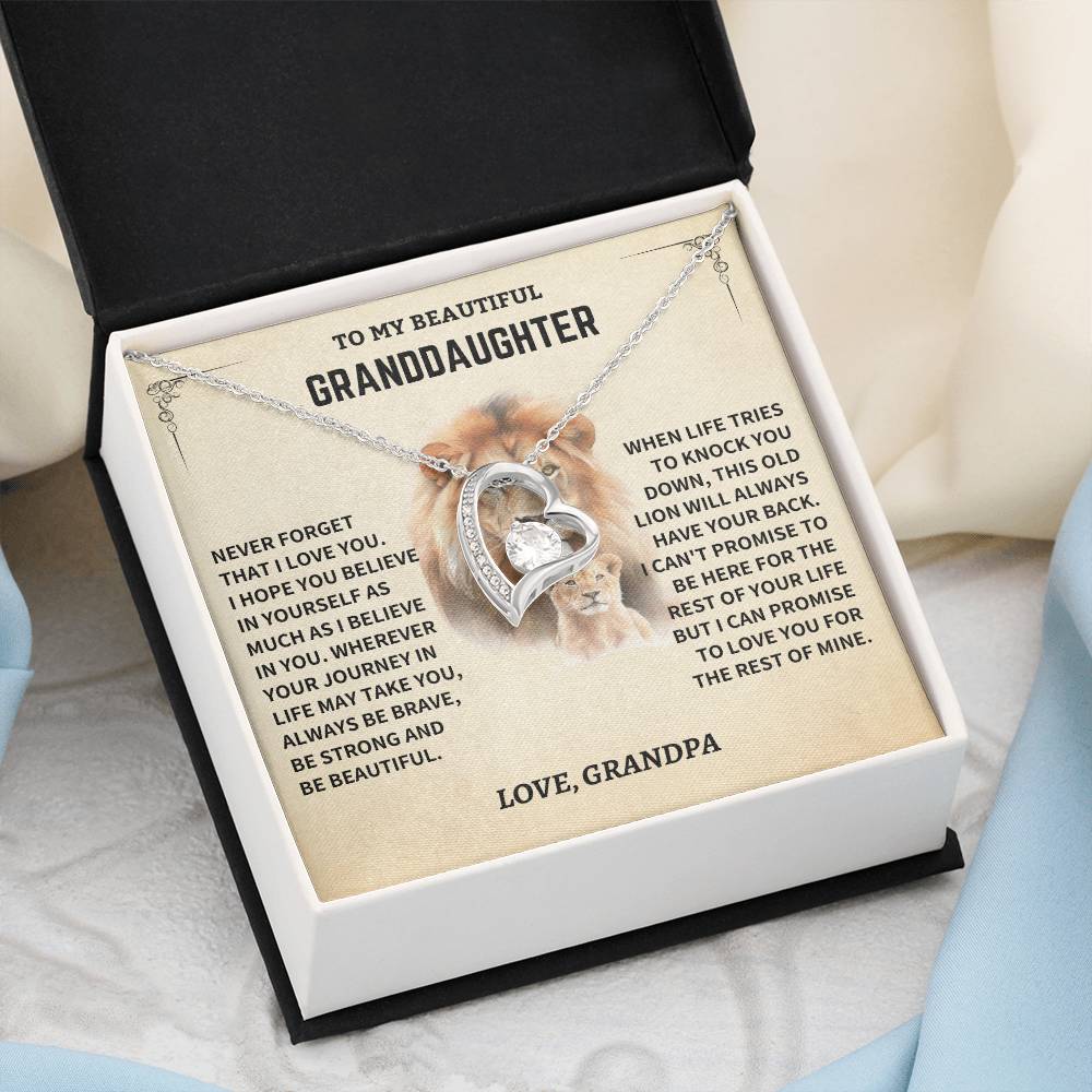 Granddaughter Gift- Believe In Yourself- From Grandpa - Image 6
