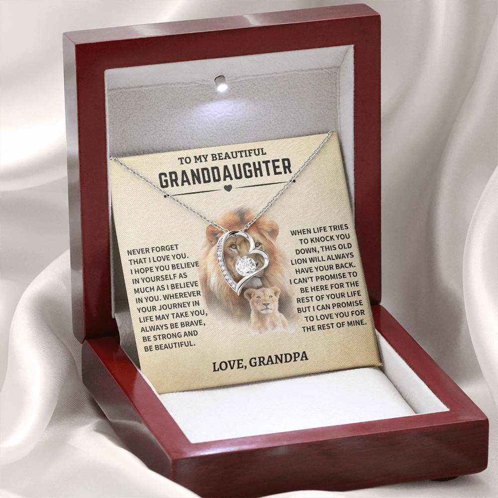 Granddaughter Gift- From Grandpa- Old Lion - Image 4