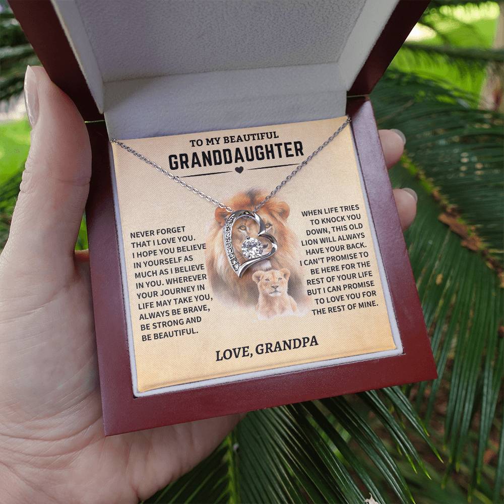 Granddaughter Gift- From Grandpa- Old Lion - Image 5