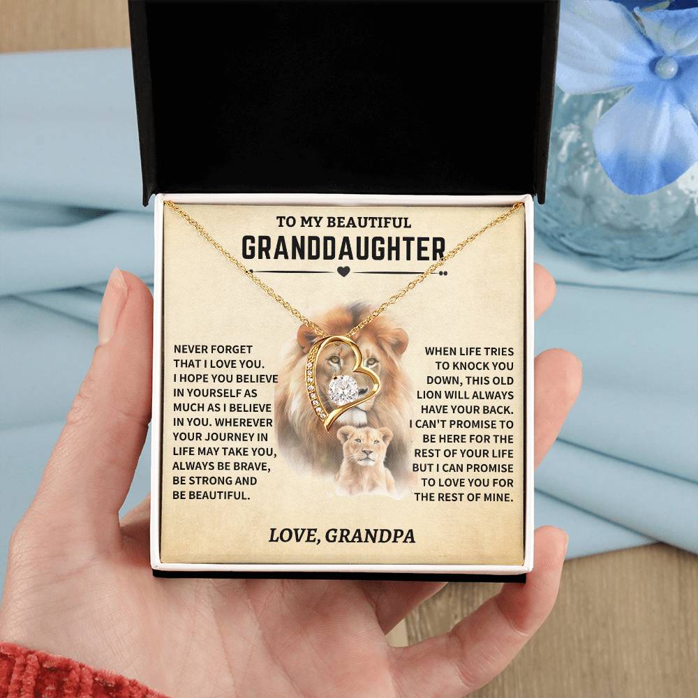 Granddaughter Gift- From Grandpa- Old Lion - Image 6