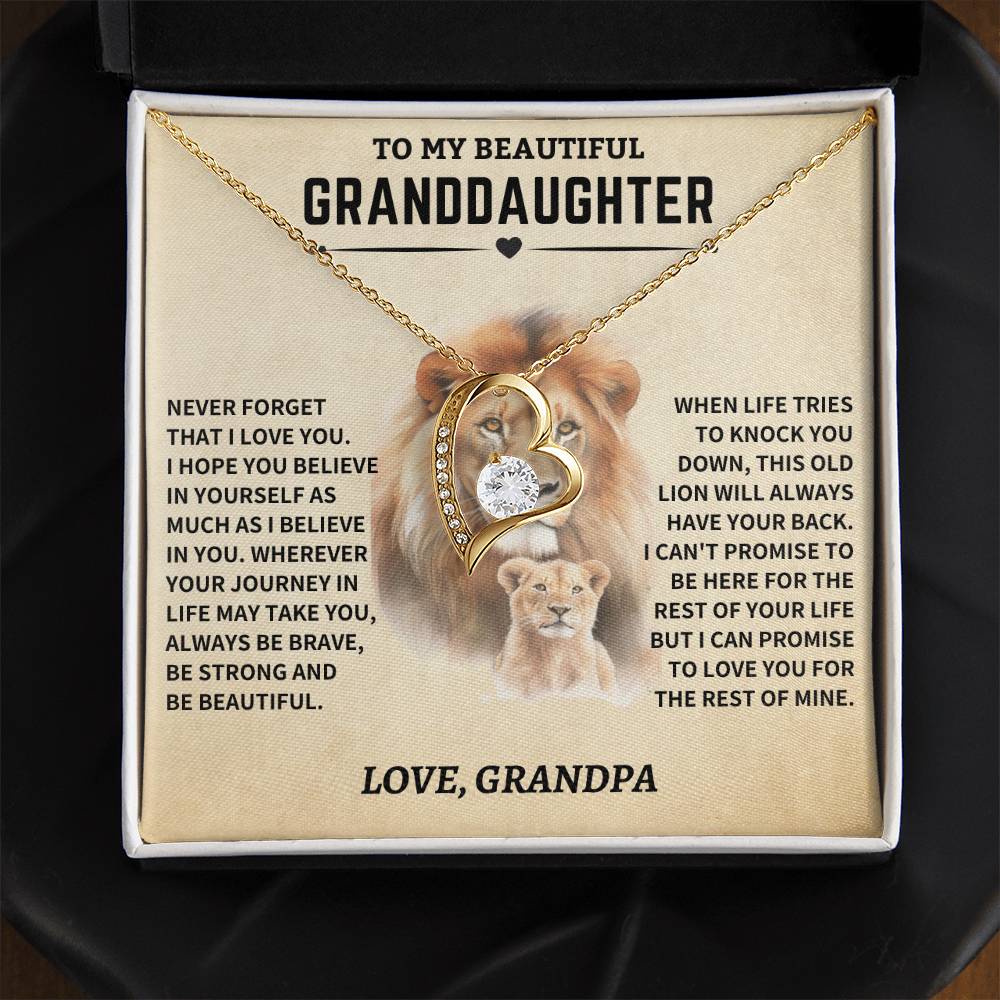 Granddaughter Gift- From Grandpa- Old Lion - Image 7