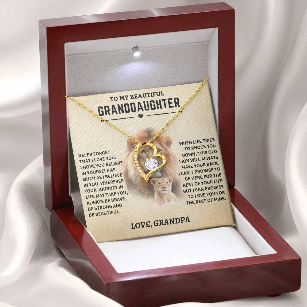 Granddaughter Gift- From Grandpa- Old Lion - Image 8